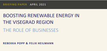Boosting Renewable Energy in the Visegrad Region: The Role of Businesses