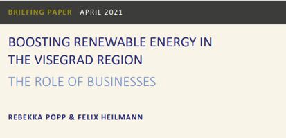 Boosting Renewable Energy in the Visegrad Region: The Role of Businesses